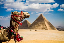 Египет летом повысит стоимость виз, несмотря на низкий турпоток