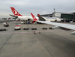 На борт Turkish Airlines беременных туристок могут не пустить даже со справкой
